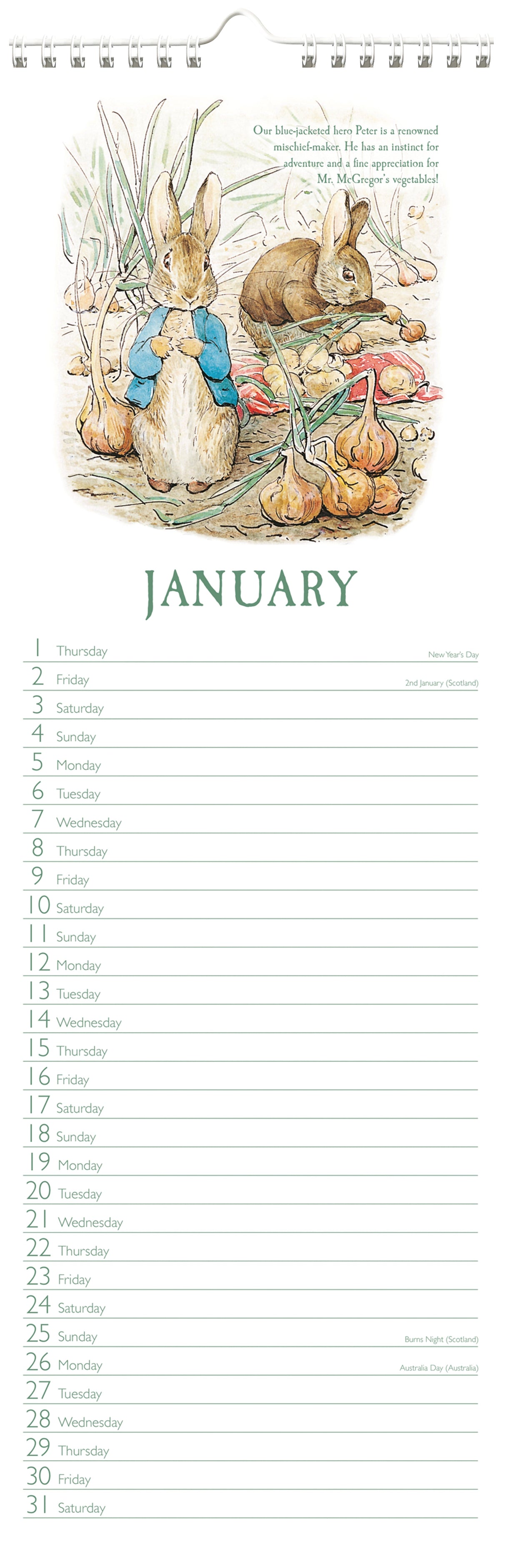 Peter Rabbit 2026 Slim Wall Calendar