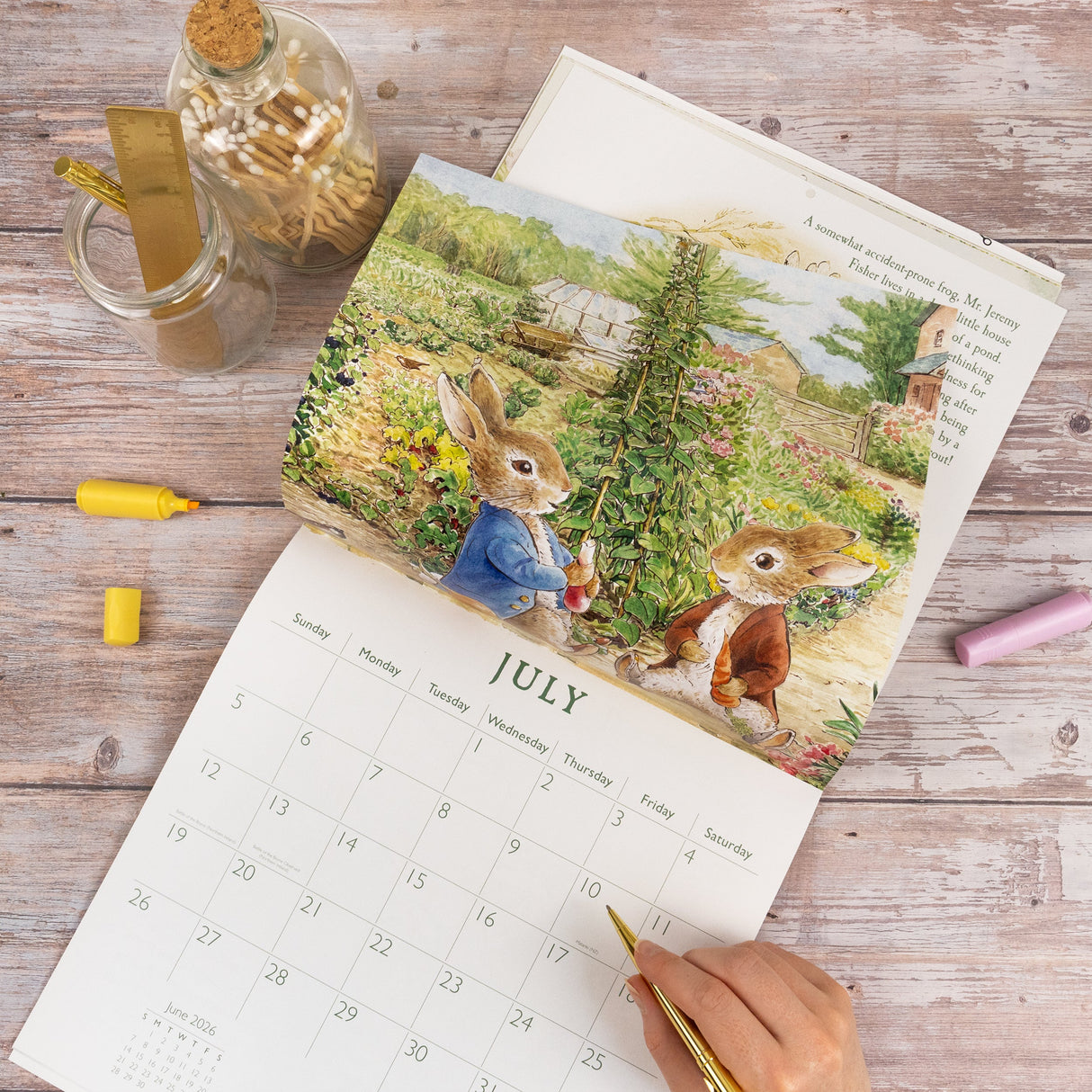 Peter Rabbit 2026 Square Wall Calendar