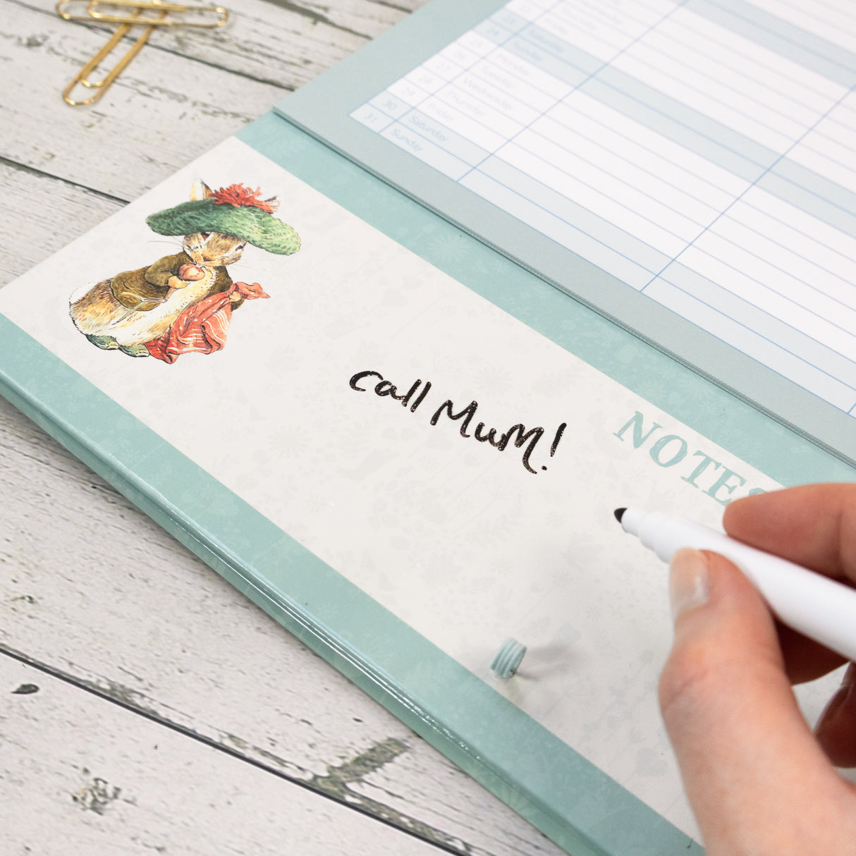 Peter Rabbit Family Organiser Wall Calendar 2027