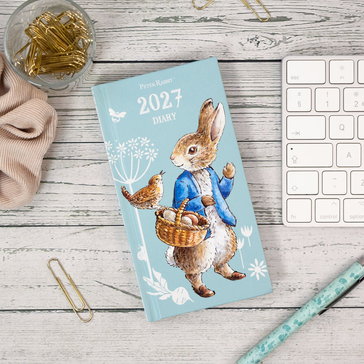 Peter Rabbit Slim Diary 2027