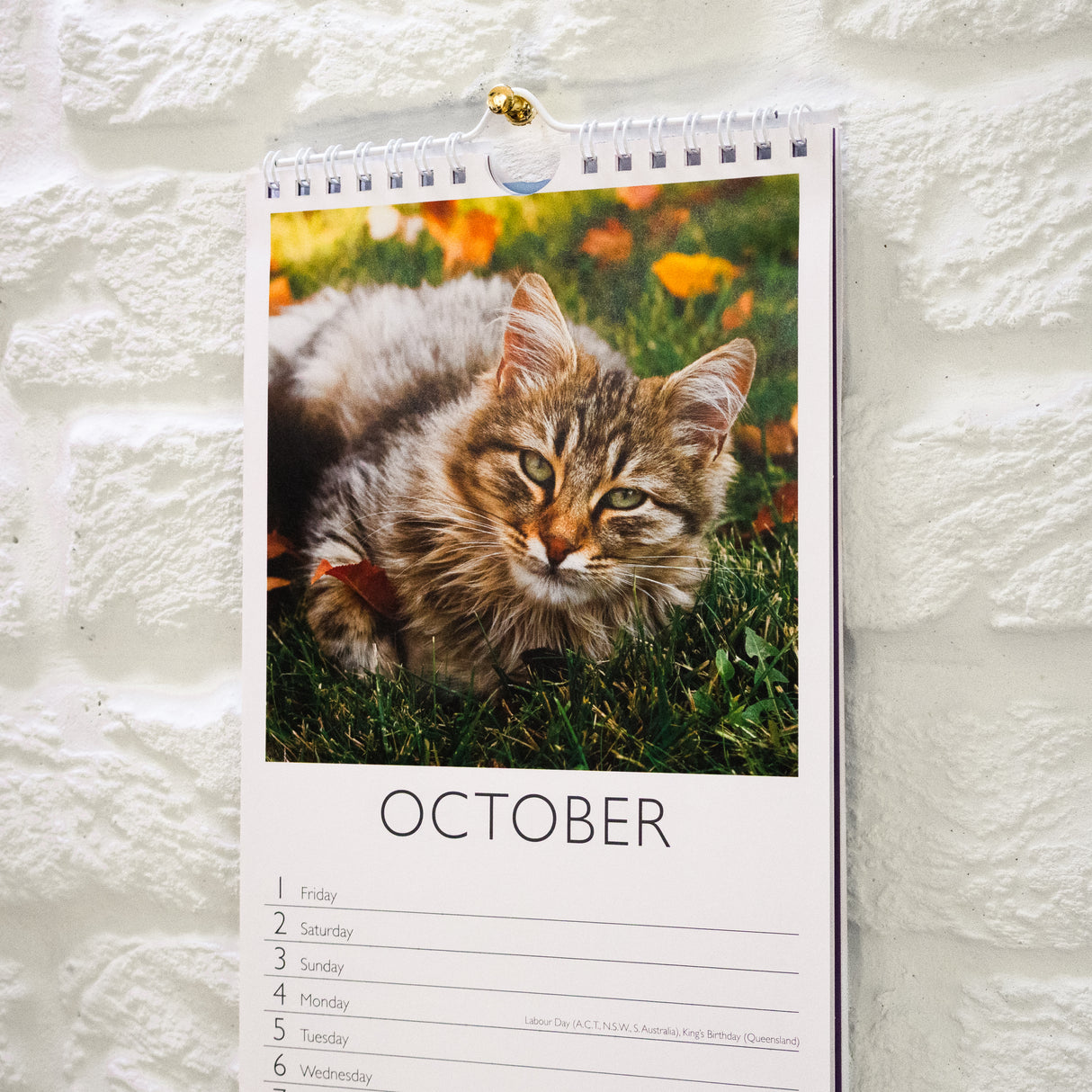 Cats Slim Wall Calendar 2027