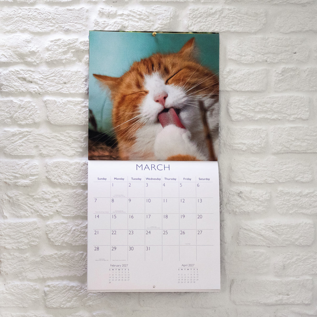 Cats Square Wall Calendar 2027