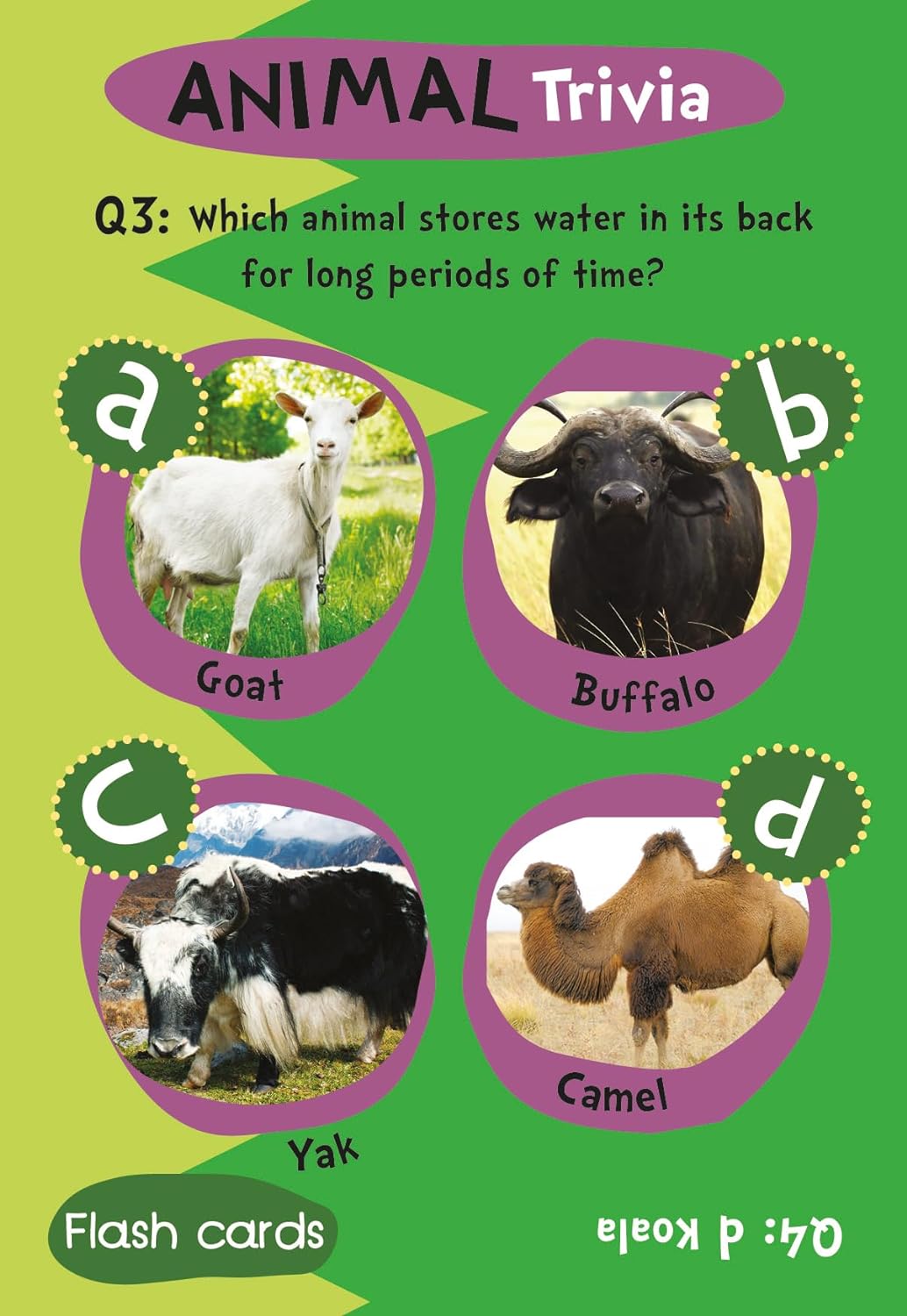 Children's Animal Trivia Flash Cards