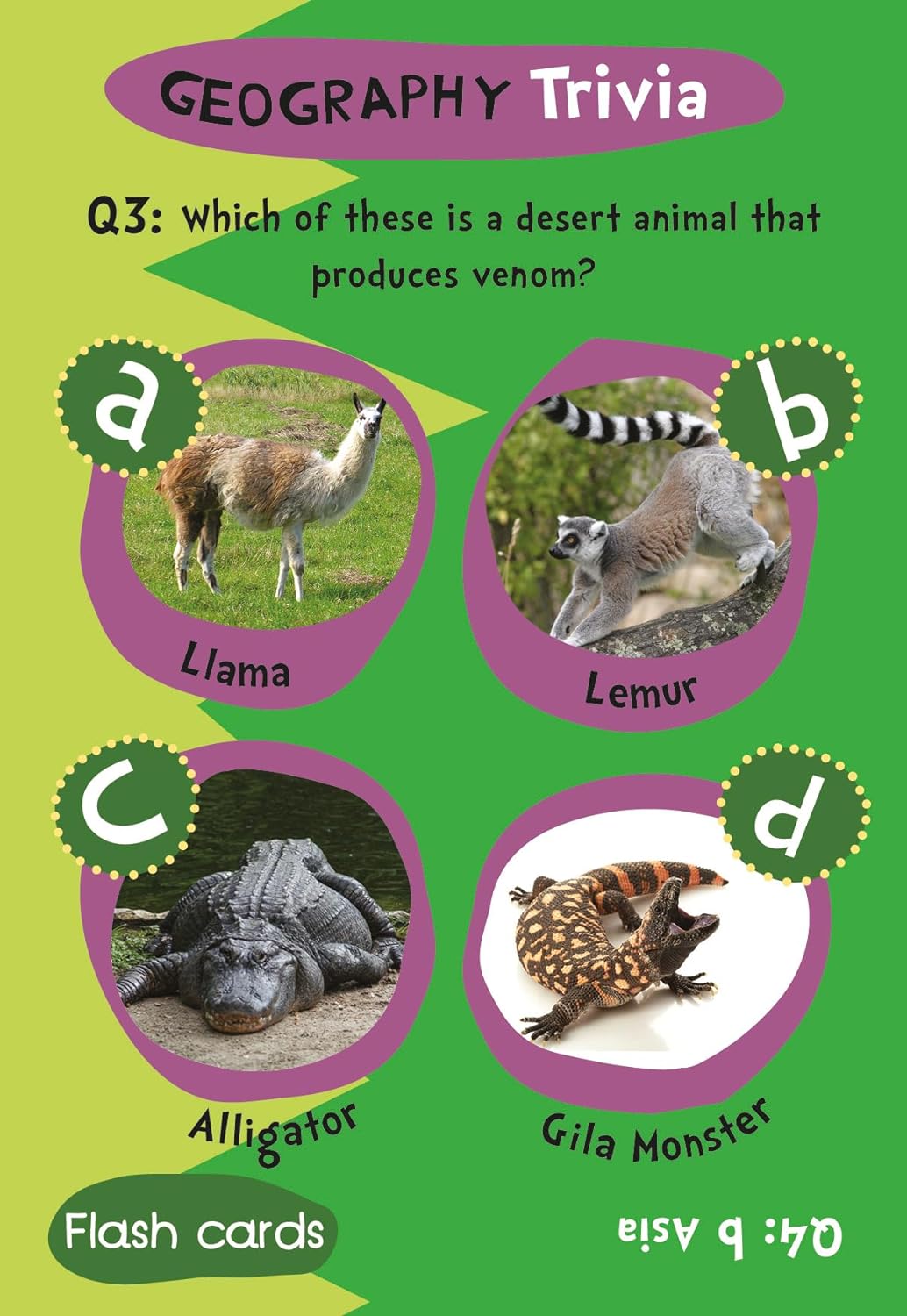 Children's Geography Trivia Flash Cards