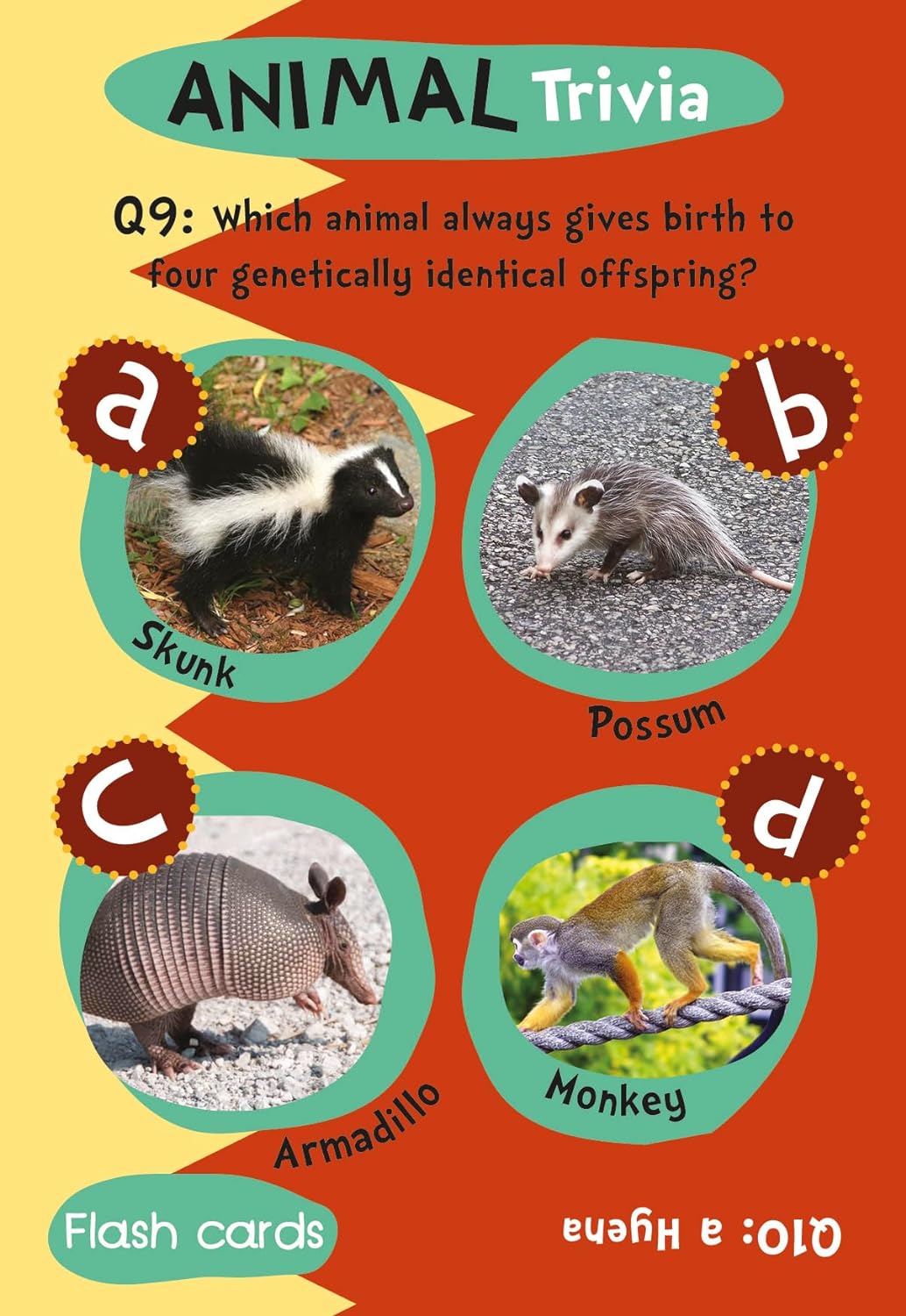 Children's Animal Trivia Flash Cards