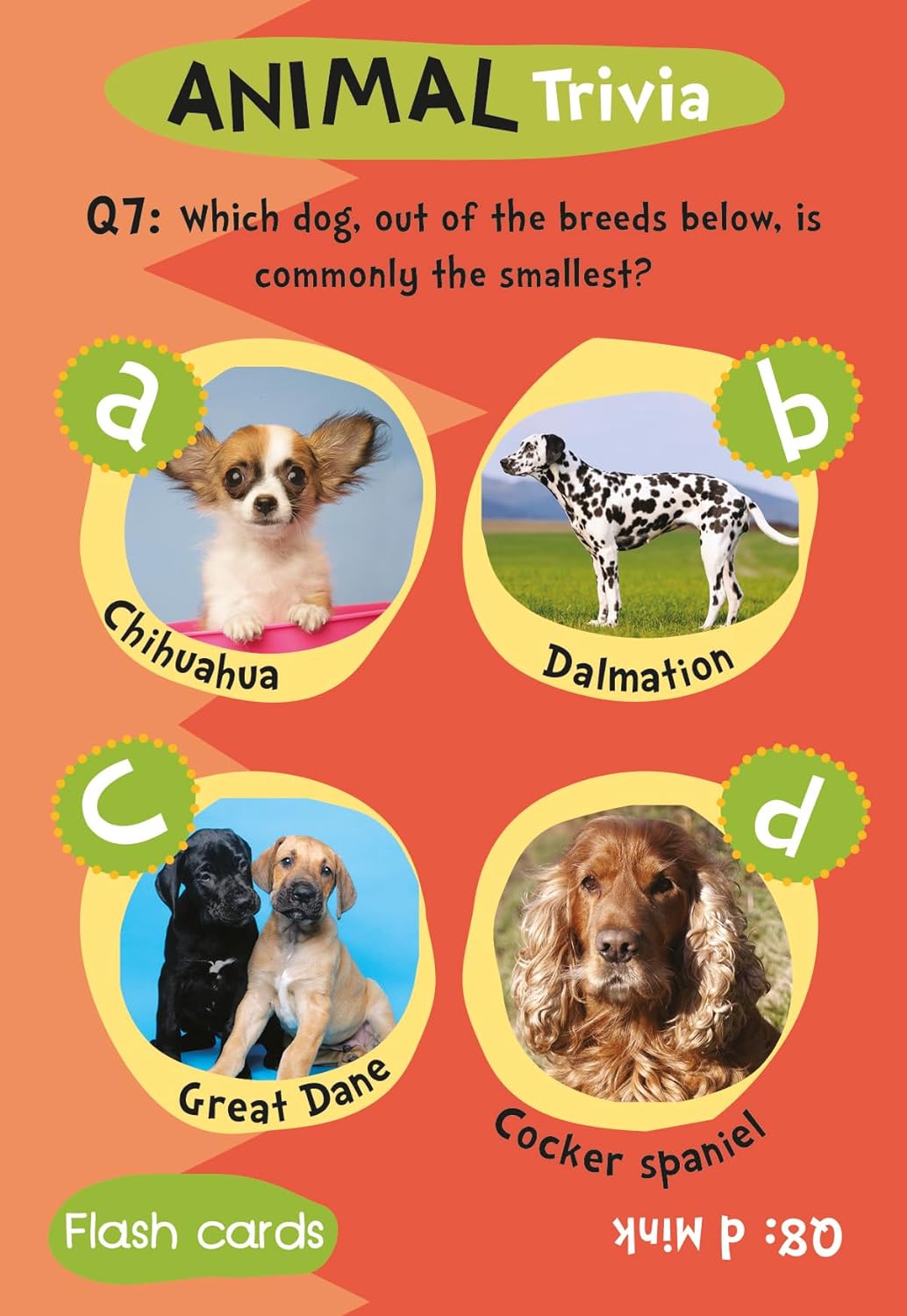 Children's Animal Trivia Flash Cards