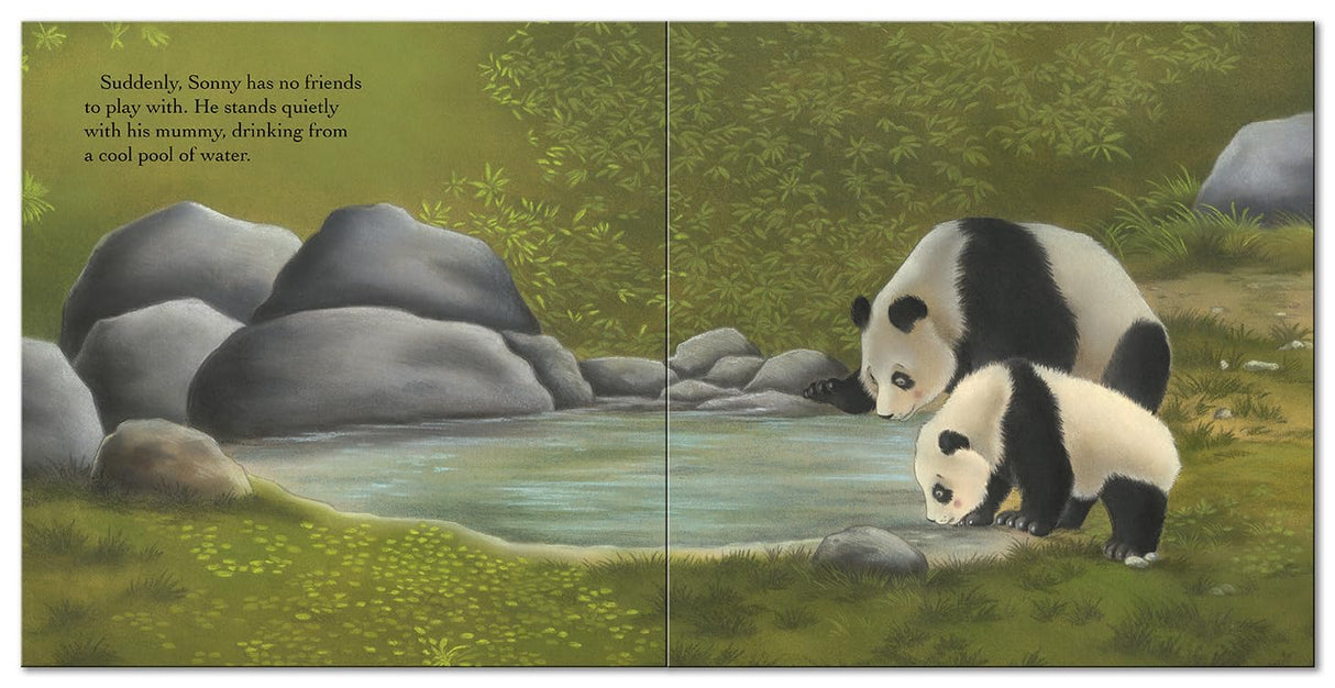 Panda Says, "Sorry" - Children’s Picture Book