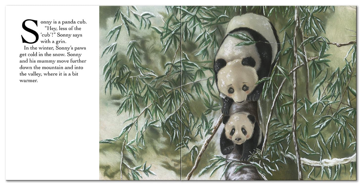 Panda Says, "Sorry" - Children’s Picture Book