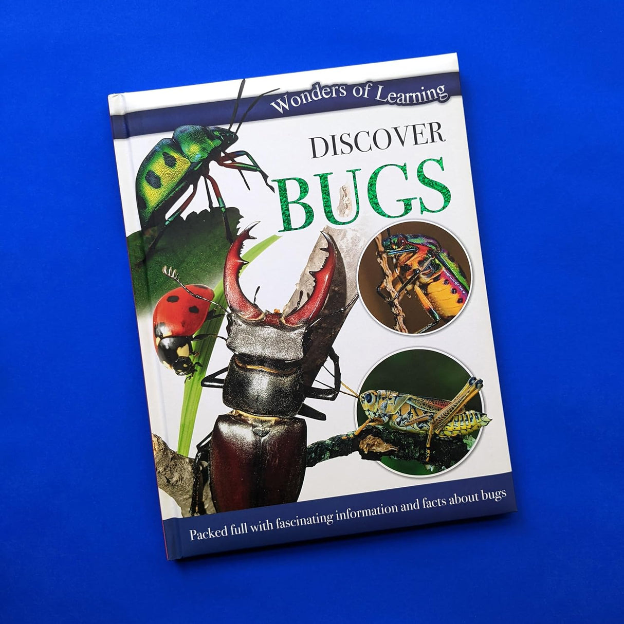 Discover Bugs - Children's Reference Book