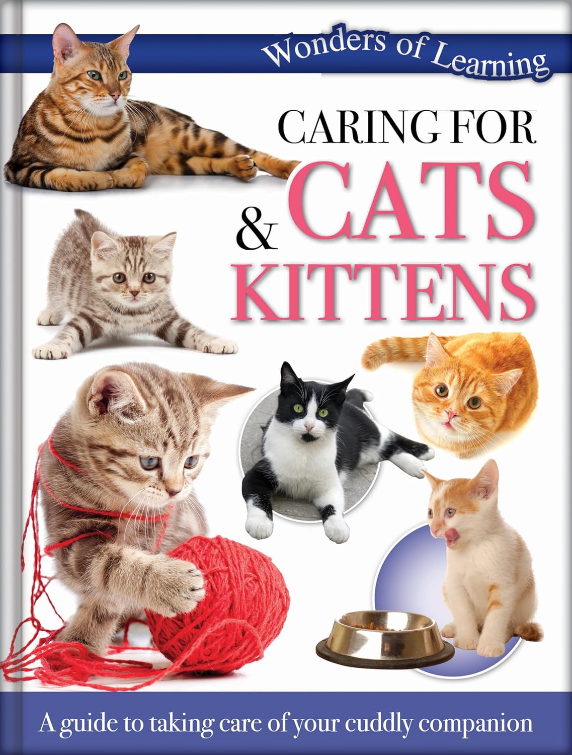 Caring for Cats & Kittens - Children's Reference Book
