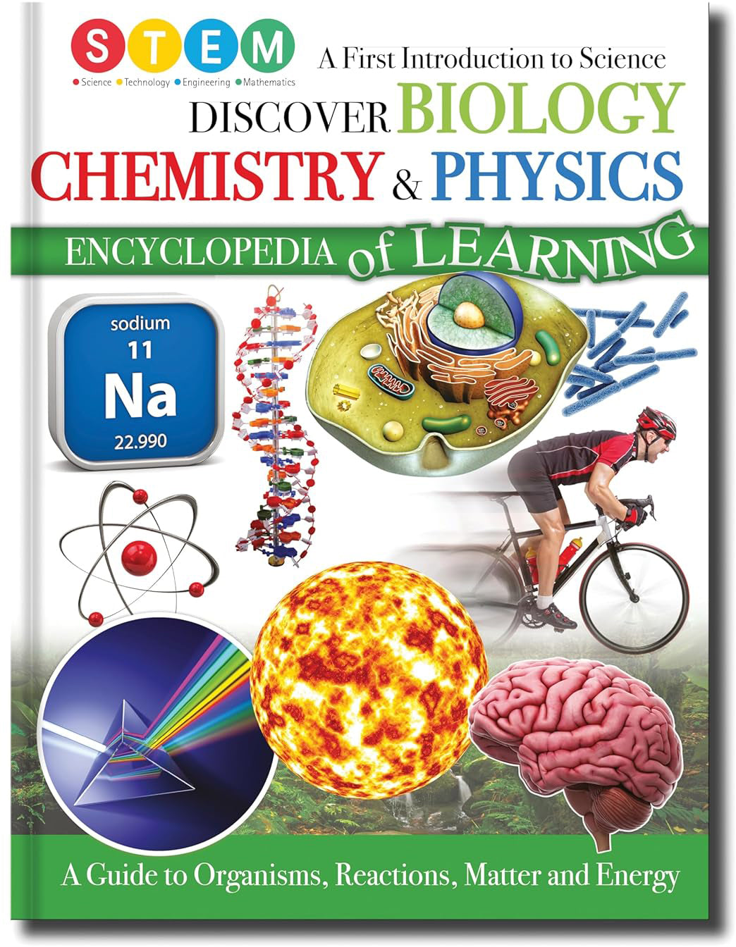 Discover Biology, Chemistry & Physics - A First Introduction To Science – Children’s STEM Book