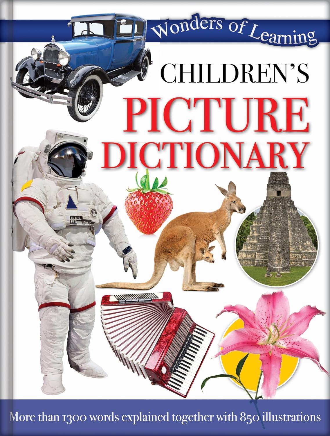 Picture Dictionary - Children's Reference Book