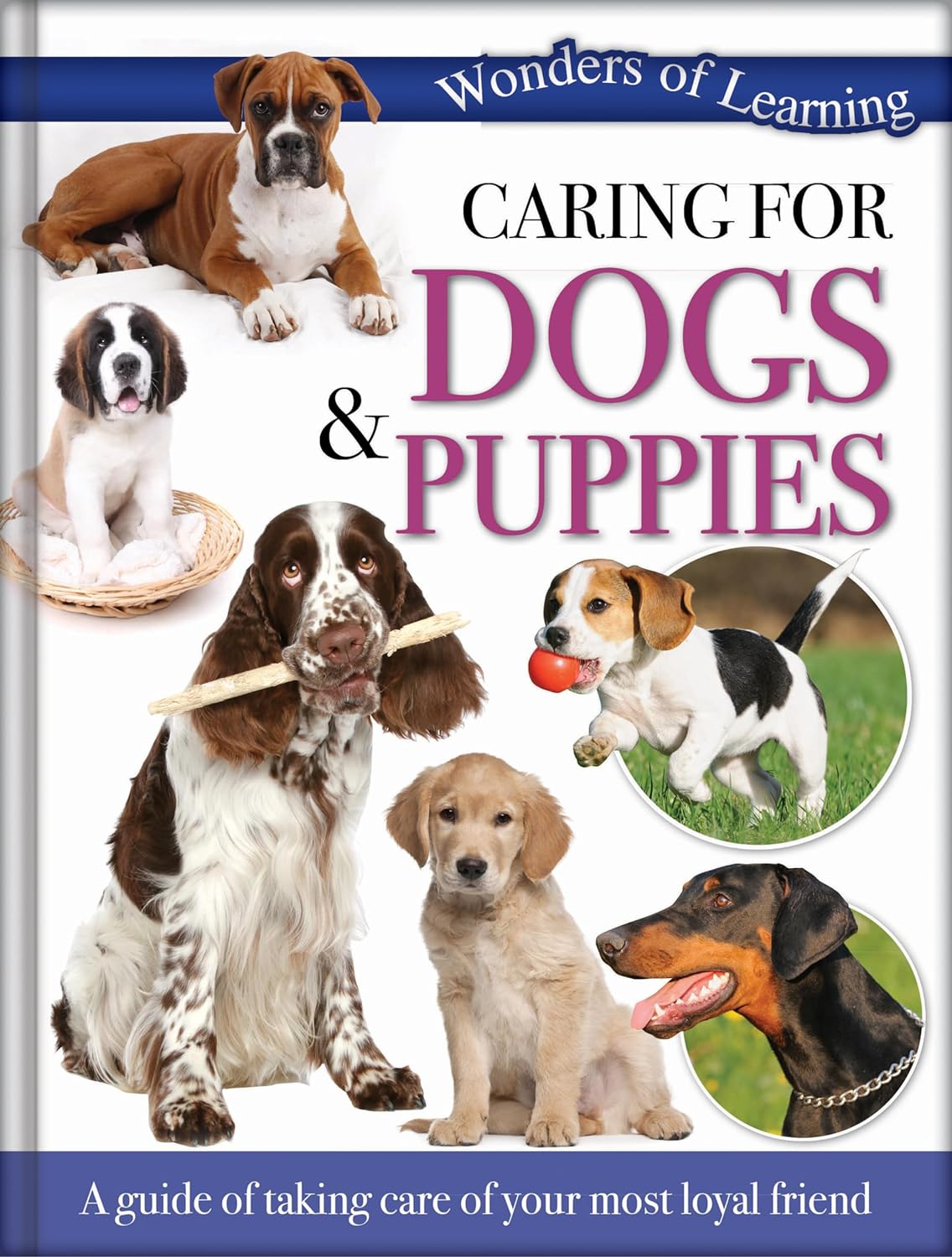 Caring for Dogs & Puppies - Children's Reference Book