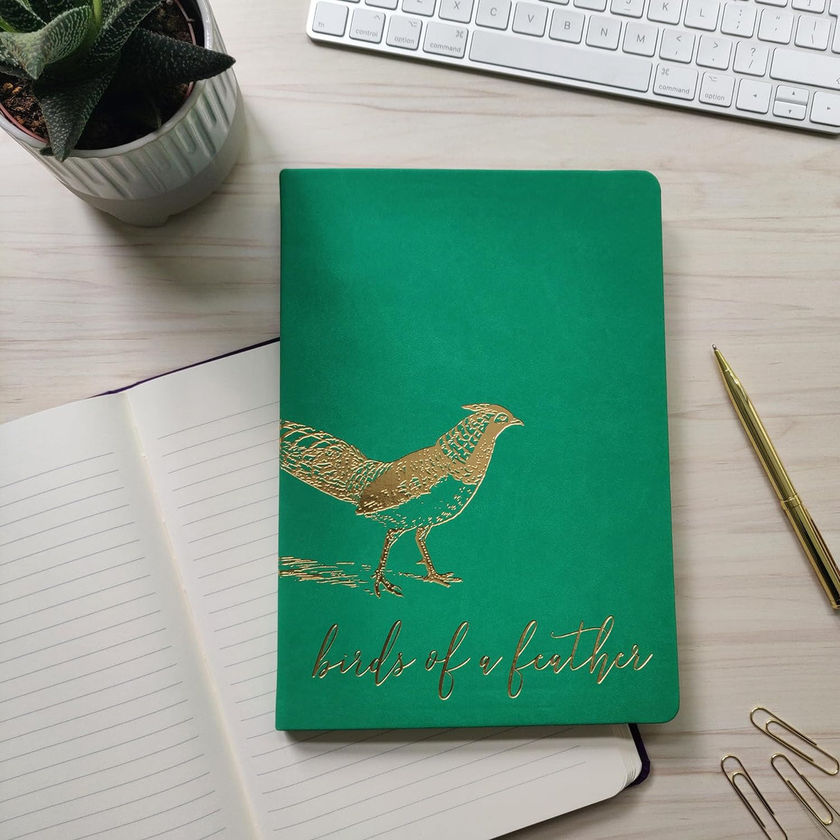 RK Premium B5 Lined Notebook Journal - Birds Of A Feather Pheasant Design