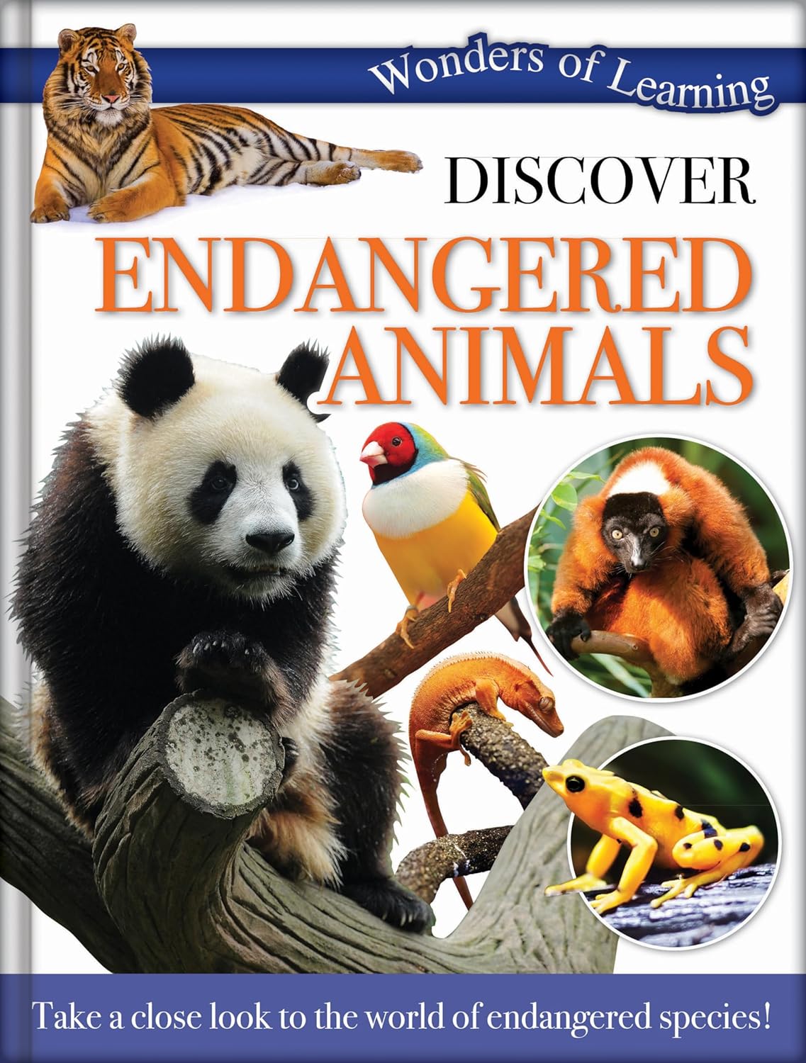 Discover Endangered Animals - Children's Reference Book