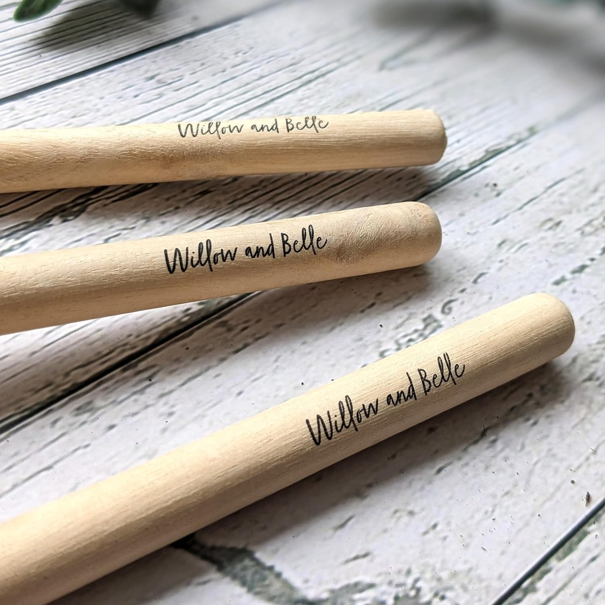 Willow and Belle House Plant Care Kit