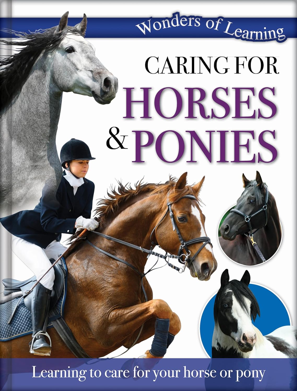 Caring for Horses & Ponies - Children's Reference Book