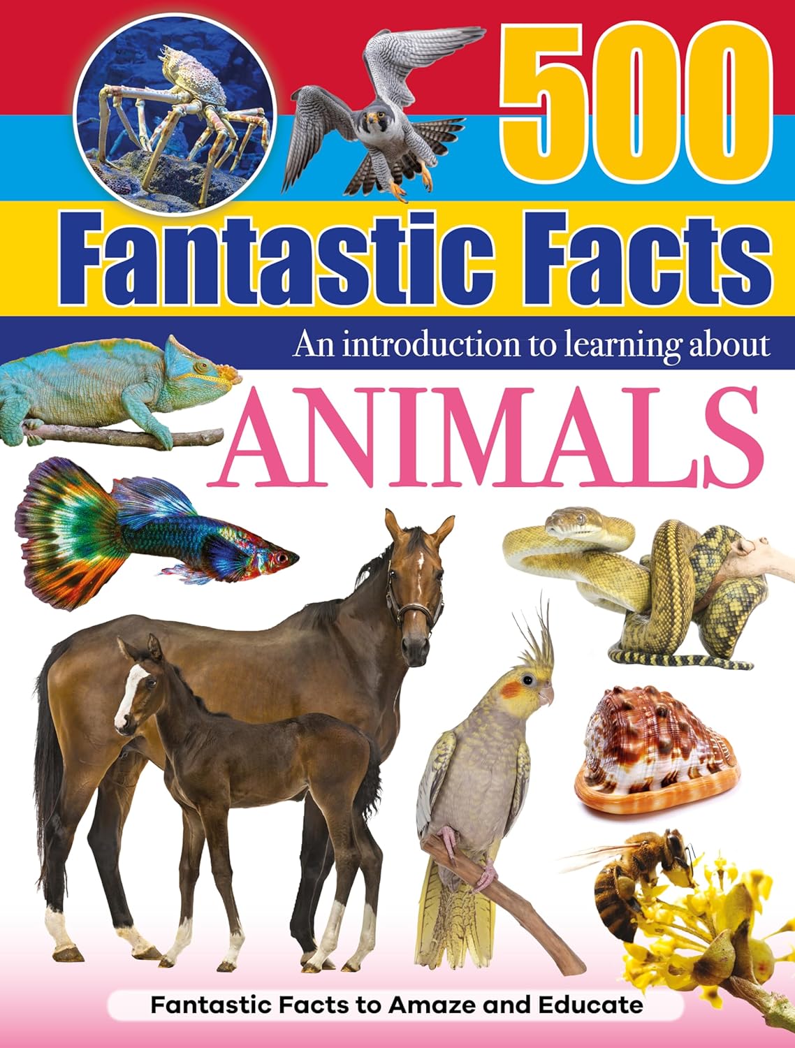 500 Fantastic Facts - Animals - Children's Reference Book