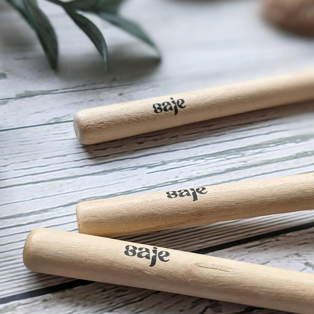 Saje House Plant Care Kit