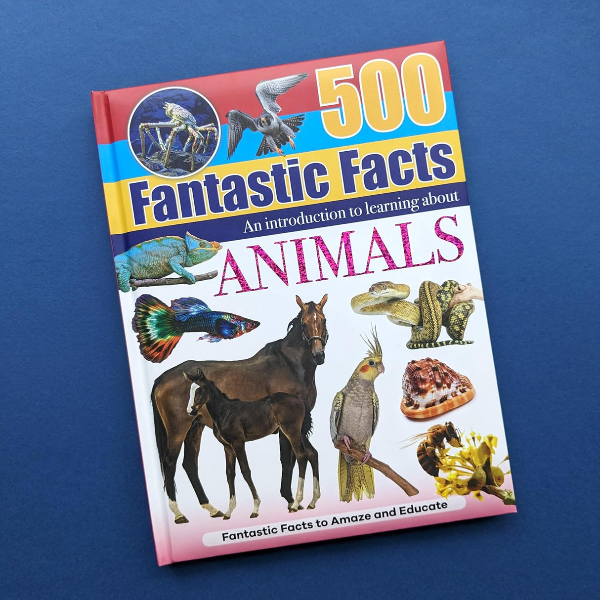 500 Fantastic Facts - Animals - Children's Reference Book