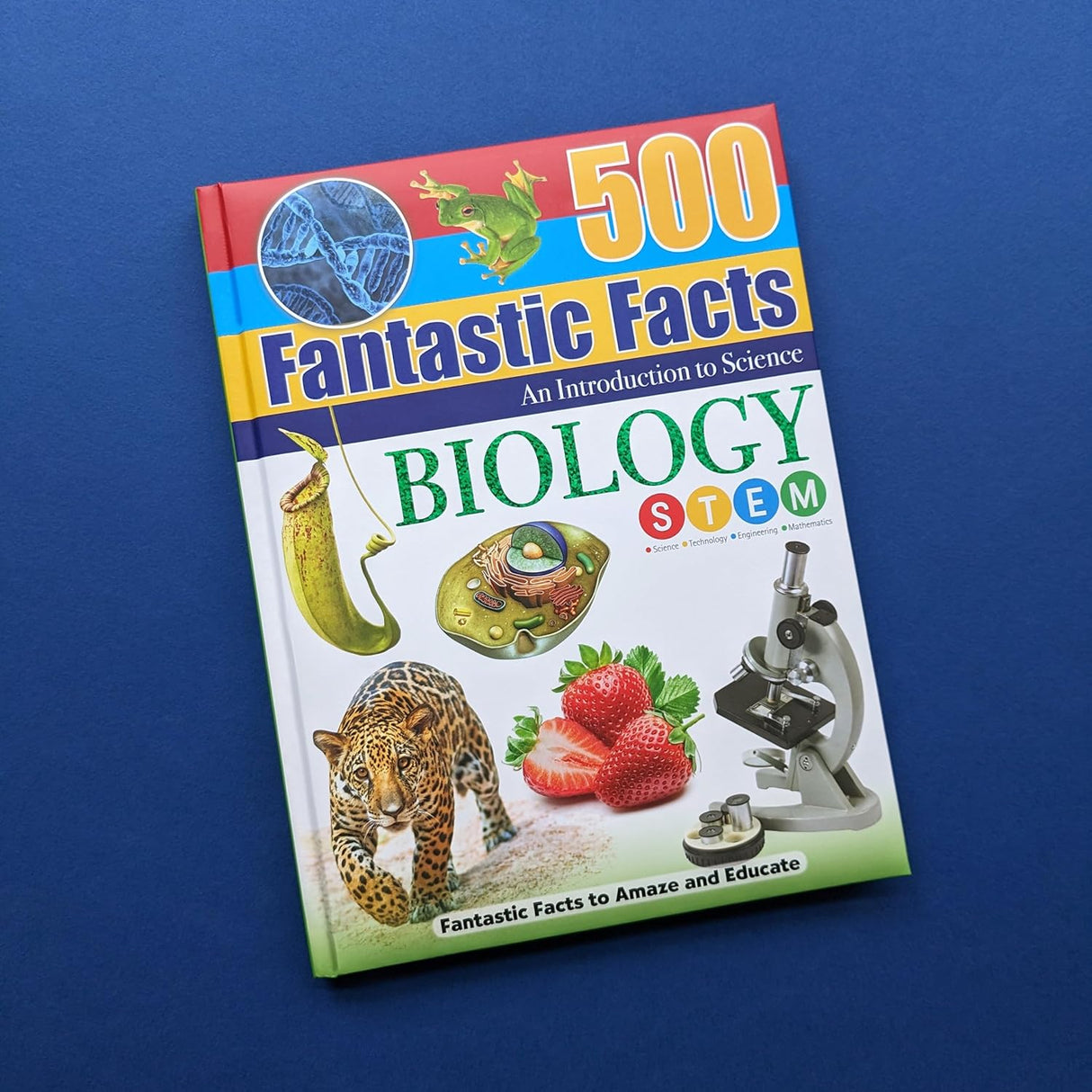 500 Fantastic Facts - Biology - Children's Reference Book - STEM Learning