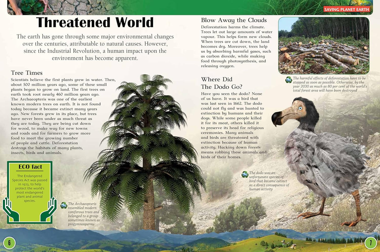 Saving Planet Earth - Children's Reference Book - STEM Learning