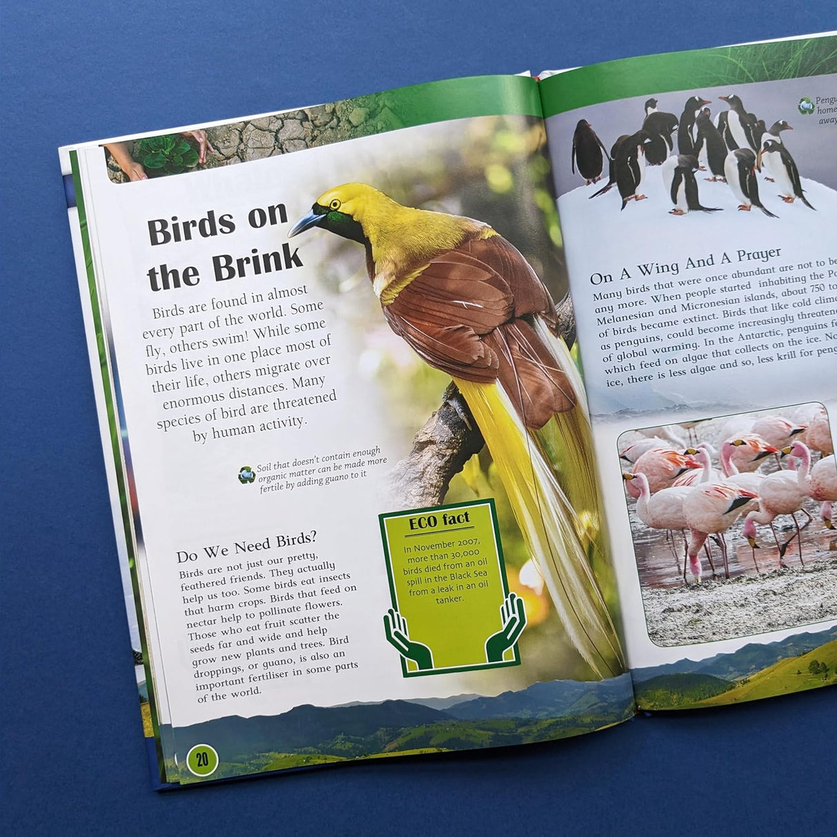 Saving Planet Earth - Children's Reference Book - STEM Learning