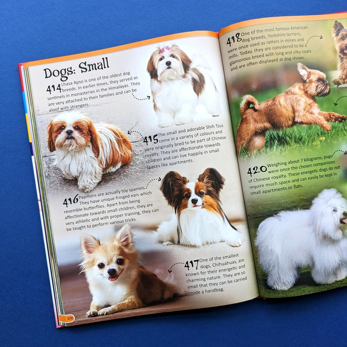 500 Fantastic Facts - Animals - Children's Reference Book
