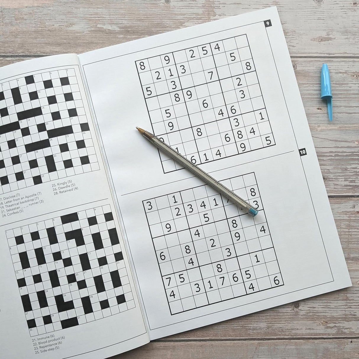 Adult Puzzle Book - 60 Assorted Puzzles To Challenge & Entertain