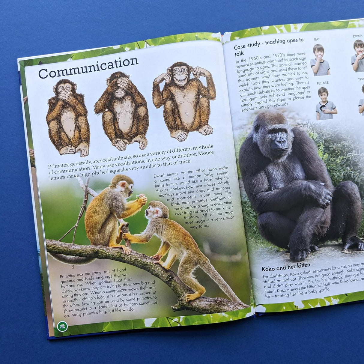 Discover Primates - Children's Reference Book
