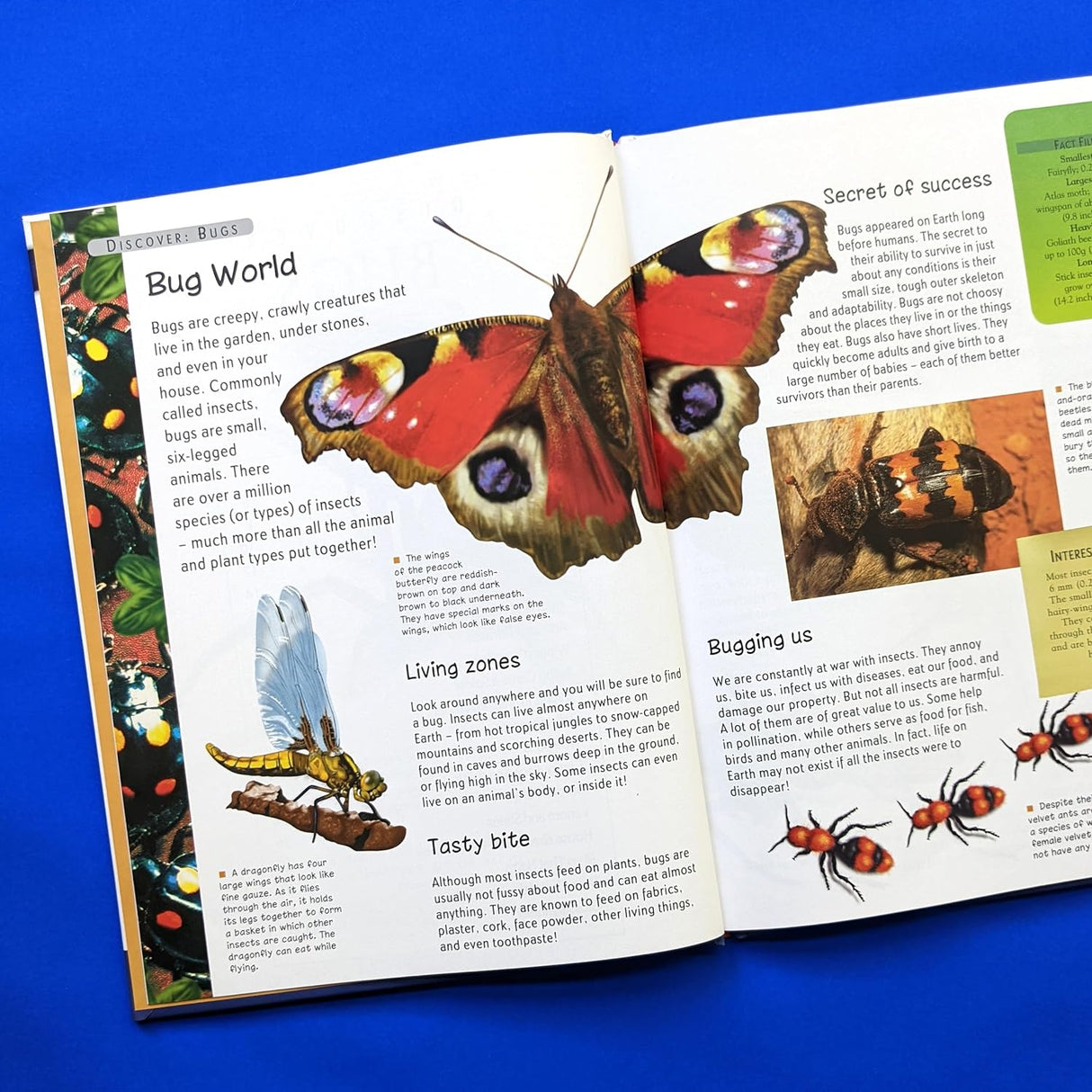 Discover Bugs - Children's Reference Book