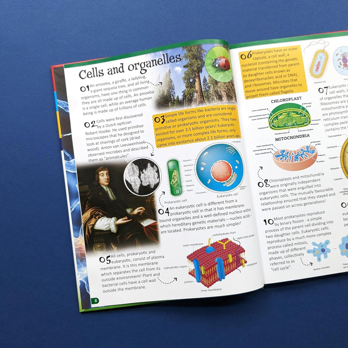 500 Fantastic Facts - Biology - Children's Reference Book - STEM Learning