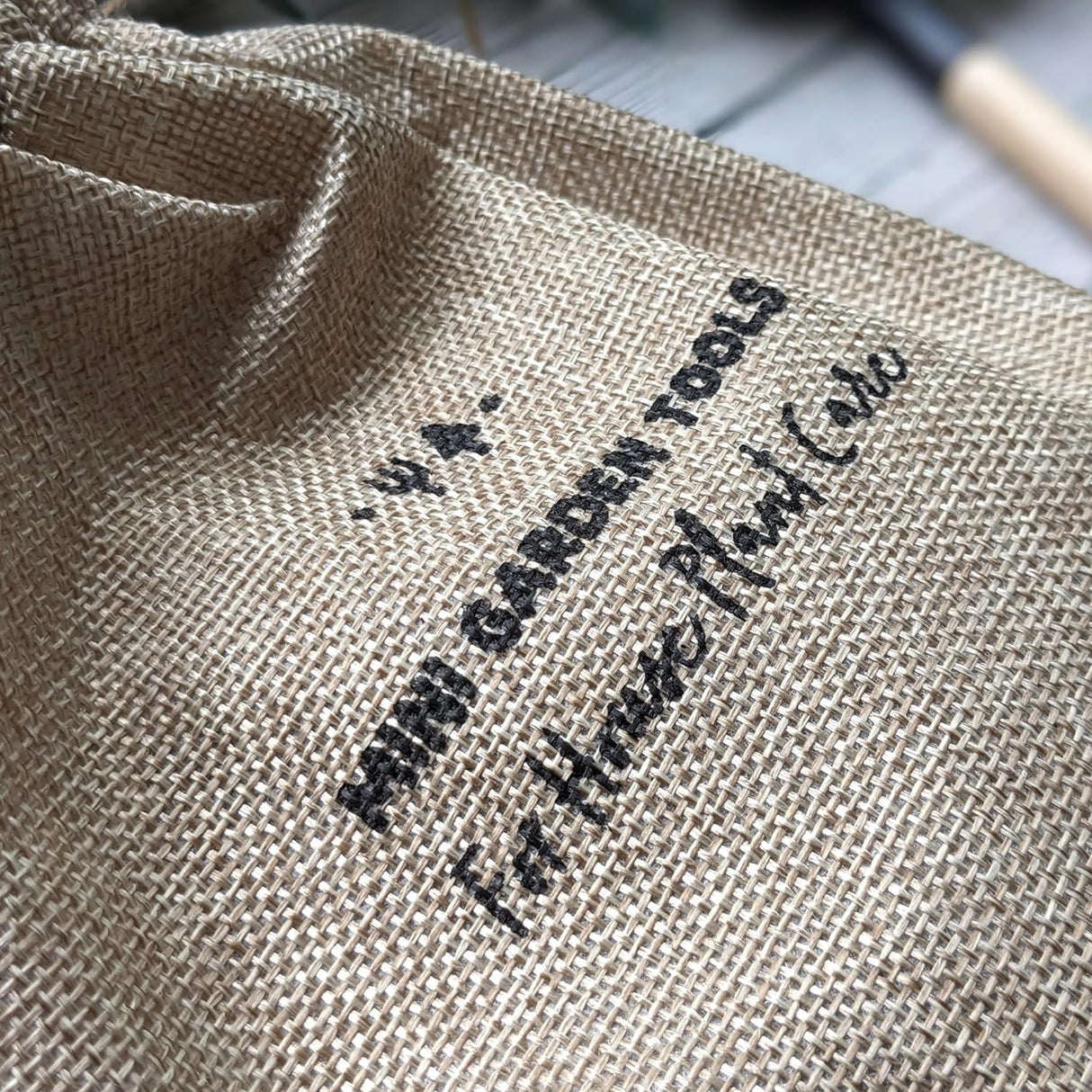 Willow and Belle House Plant Care Kit