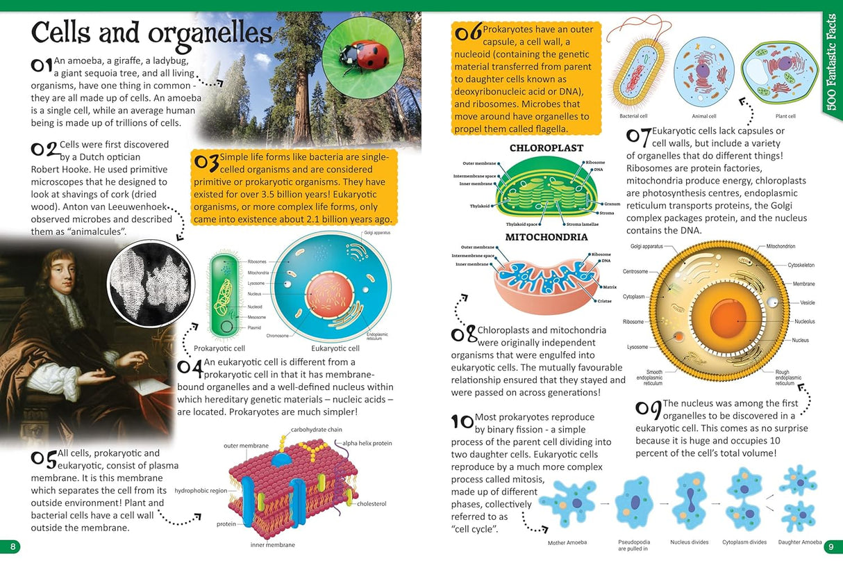 500 Fantastic Facts - Biology - Children's Reference Book - STEM Learning