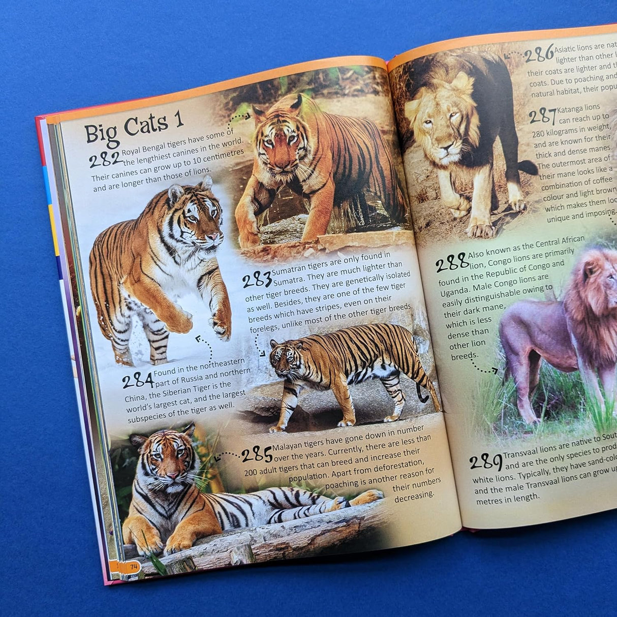 500 Fantastic Facts - Animals - Children's Reference Book