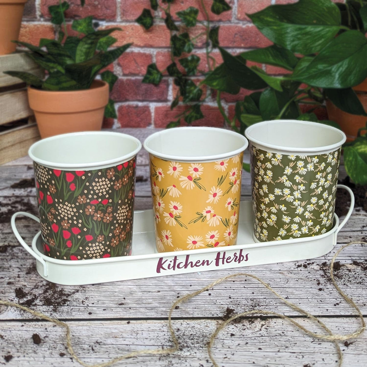 Willow and Belle Kitchen Herb Pots and Tray - Set of 3 Enamel Plant Pots