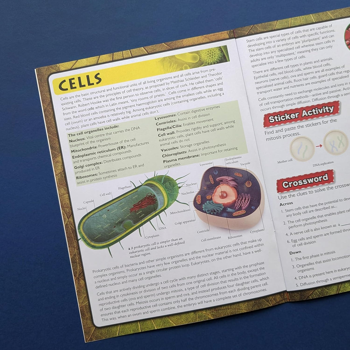 Discover Biology Sticker Book - Find, Stick and Learn