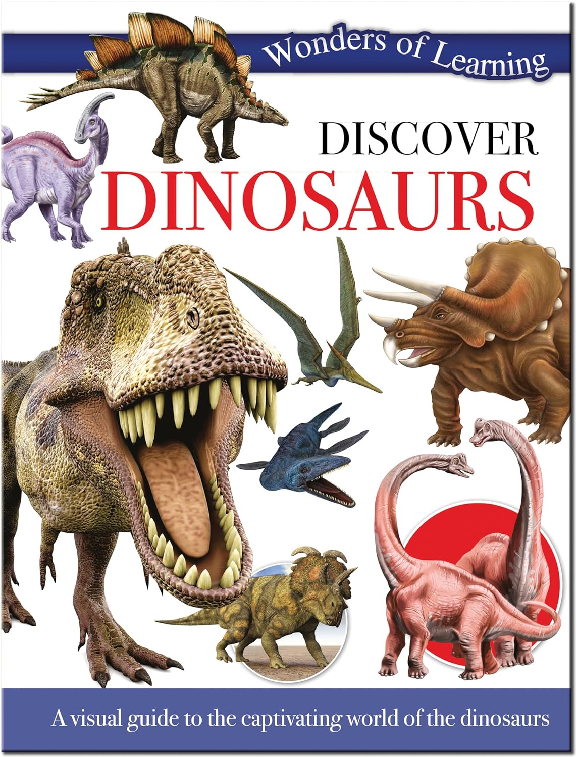 Discover Dinosaurs - Children's Reference Book