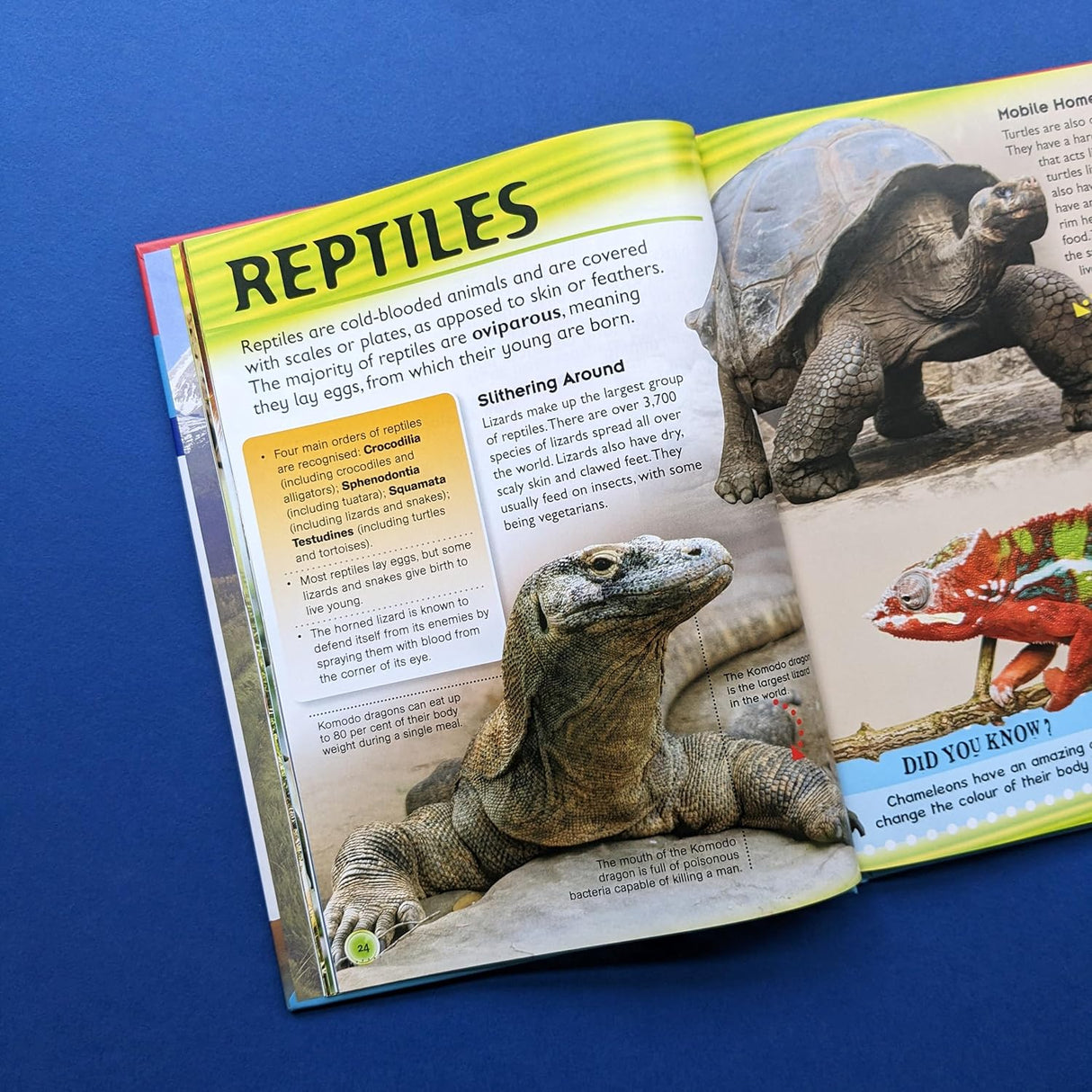 Great Book of Knowledge - Children's Reference Book