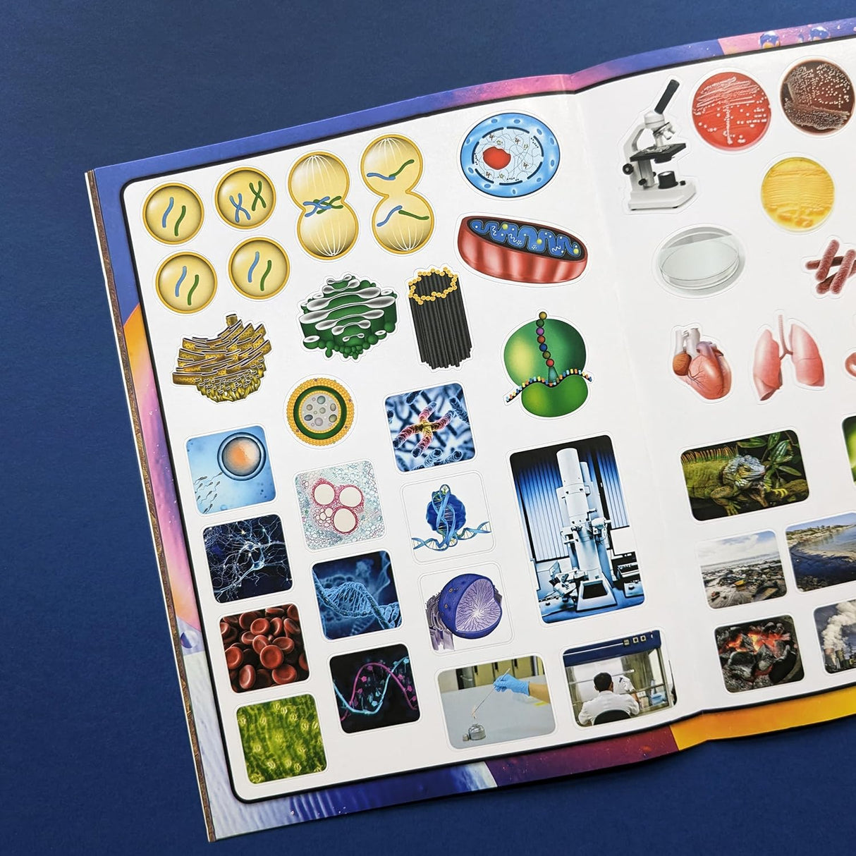 Discover Biology Sticker Book - Find, Stick and Learn