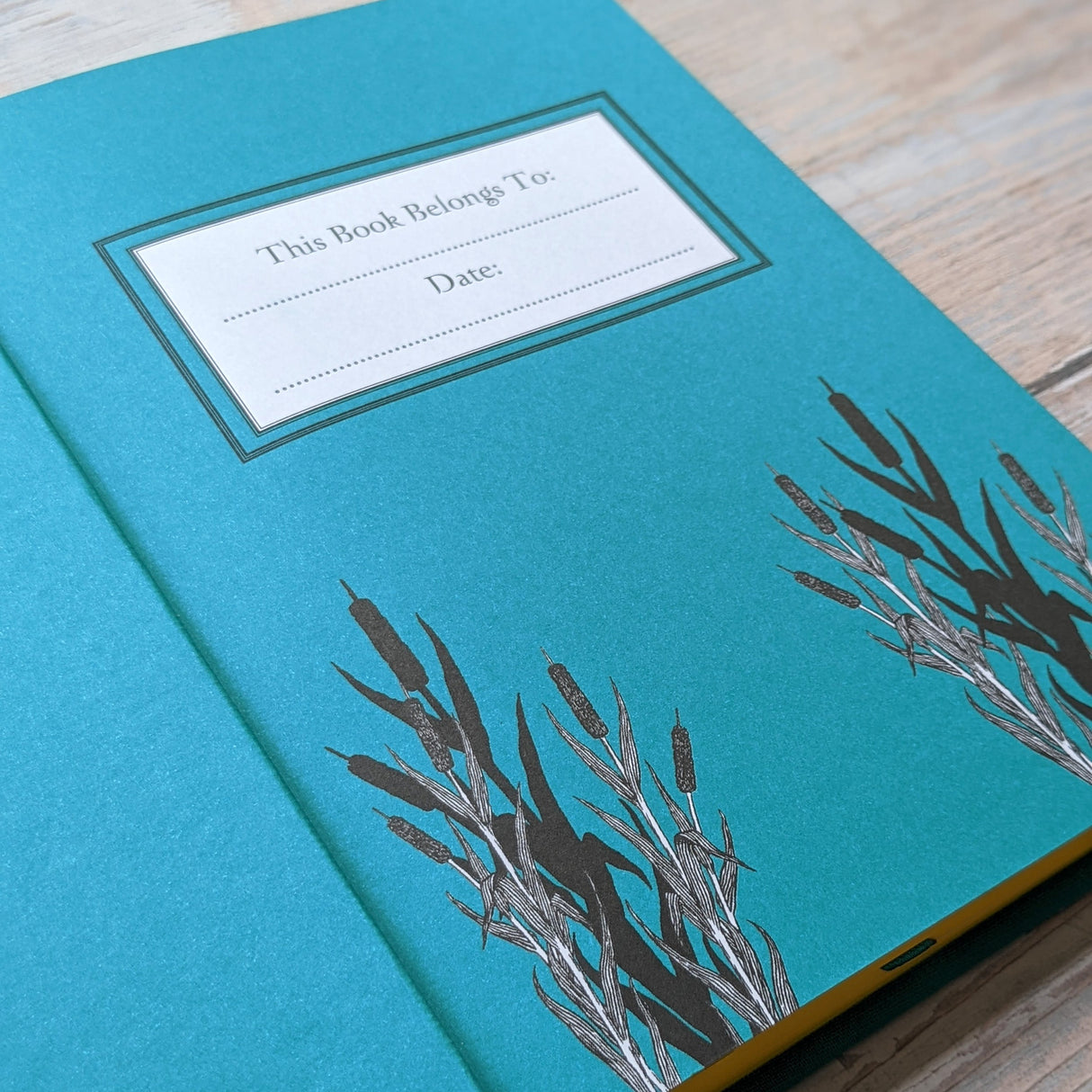 The Wind In The Willows - Children’s Classic Book