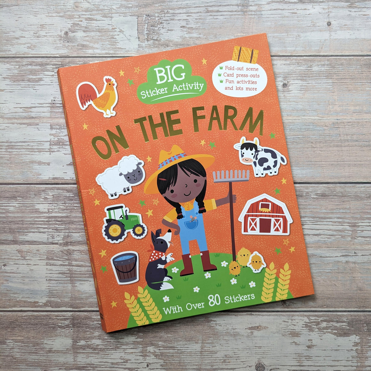 Big Sticker Activity Book – Farm