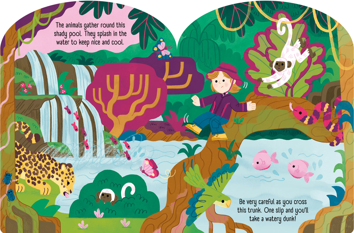 Jungle Explorers – Fold-Out Concertina Book