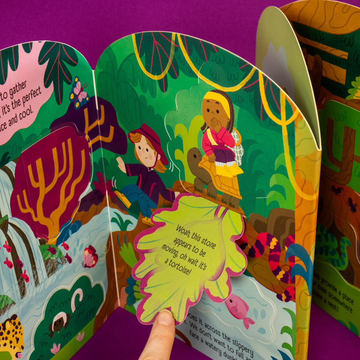 Jungle Explorers – Fold-Out Concertina Book