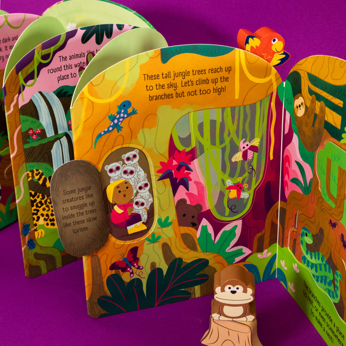 Jungle Explorers – Fold-Out Concertina Book