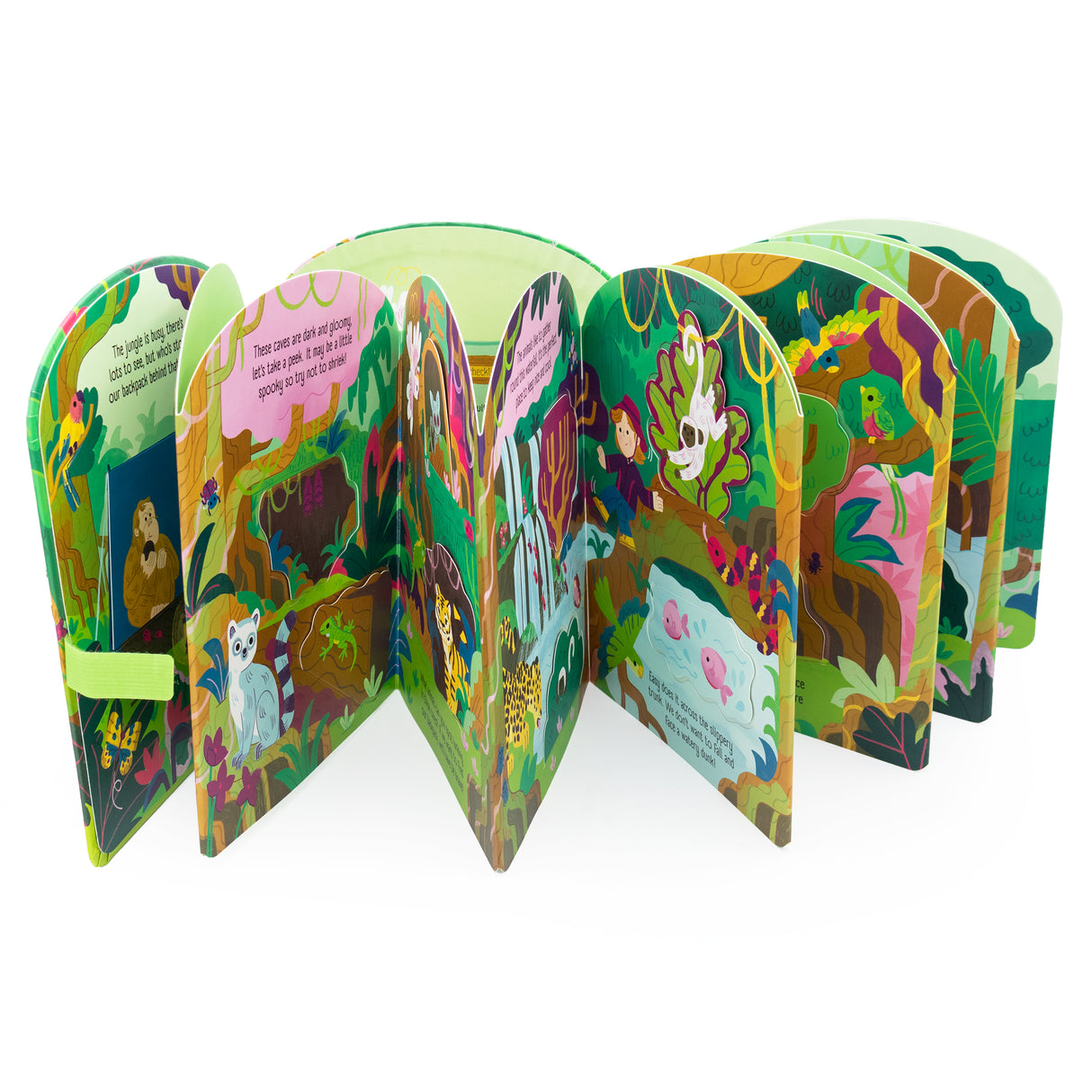 Jungle Explorers – Fold-Out Concertina Book