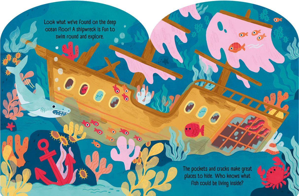 Ocean Explorers – Fold-Out Concertina Book