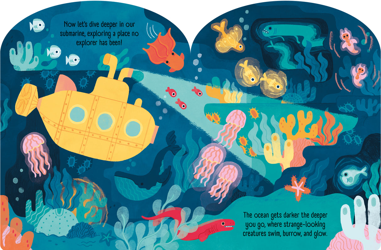 Ocean Explorers – Fold-Out Concertina Book