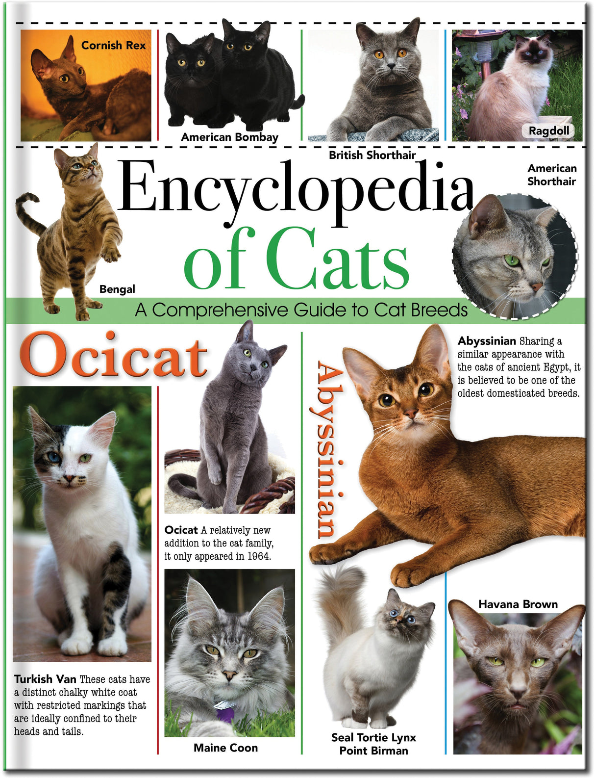 Encyclopedia of Cats: A Comprehensive Guide to Cat Breeds - Children's Reference Book
