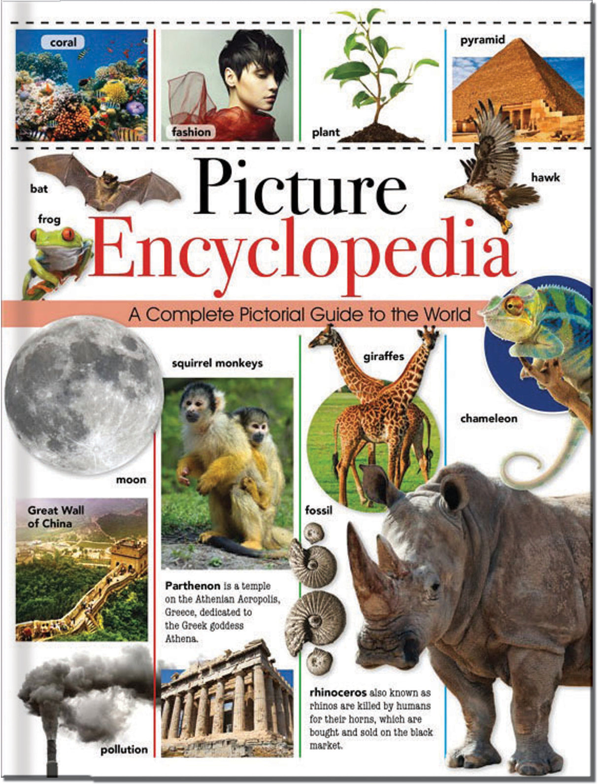 Picture Encyclopedia: A Complete Pictorial Guide to the World - Children's Reference Book